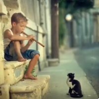 penaber21 (@penaber21594417) 's Twitter Profile