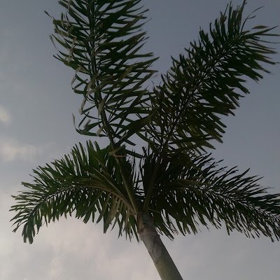 StGeorge303AD's profile picture. https://t.co/nUGW8nqK9V