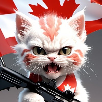 Tesla Elon SpaceX
Time will be split into Before Elon Musk (B.E.M)
And after Elon Musk (A.E.M.)
🇨🇦