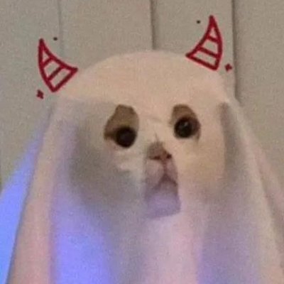 alijanwp's profile picture. 