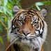 The nature 🐯 (@justnature54) Twitter profile photo The nature 🐯 (@justnature54) Twitter profile photo