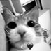 caca (@katsuobn) Twitter profile photo caca (@katsuobn) Twitter profile photo