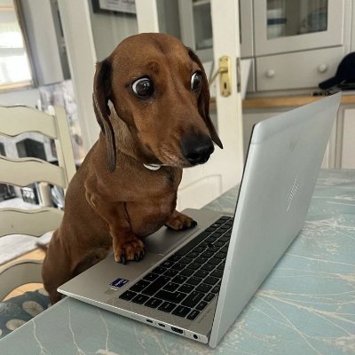 EgirlHunter_'s profile picture. Pro Trader since 2004