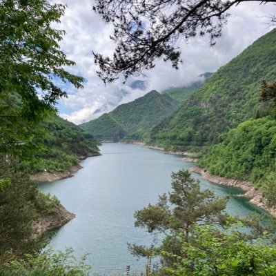 RumorsVsNews18's profile picture. 