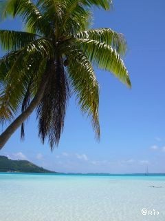 こんにちは、まっさんです。
いつかは、暖かい南の島に住みたいと
コツコツ頑張っています！