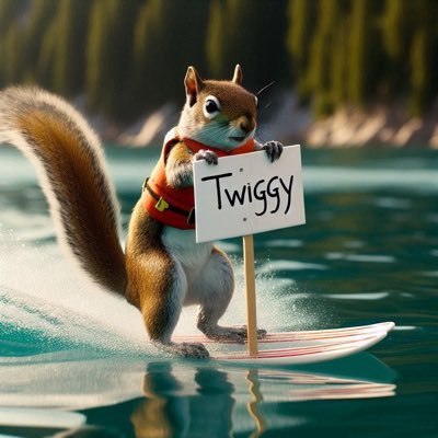 twiggysui's profile picture. Rip $Pnut 🪦 Meet $Twiggy, the squirrel that skis on water. Chain Sui 🐿️💧🚀 #TwiggySUI $TWIGGYSUI