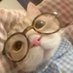 deb (@deboracotee) Twitter profile photo deb (@deboracotee) Twitter profile photo
