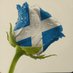 KnightAngel๐ด๓ ง๓ ข๓ ณ๓ ฃ๓ ด๓ ฟ (Tartan Tick) โ (@knightangel45) Twitter profile photo KnightAngel๐ด๓ ง๓ ข๓ ณ๓ ฃ๓ ด๓ ฟ (Tartan Tick) โ (@knightangel45) Twitter profile photo