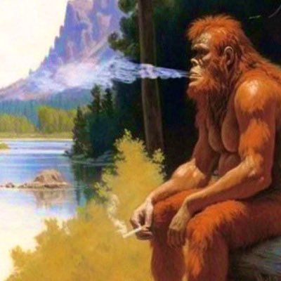 N8254509715886N's profile picture. 