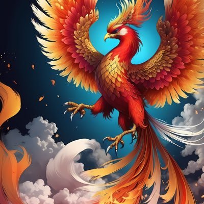 Havetgalax's profile picture. 