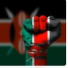 idris_justman's profile picture. A medical practitioner, a human rights defender and an advocate for the vulnerable people in the society.