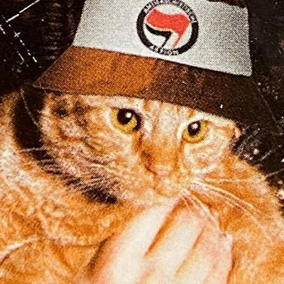 tannarade's profile picture. 🇧🇪