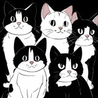 December Cats (@decembercats) 's Twitter Profile Photo December Cats (@decembercats) 's Twitter Profile Photo