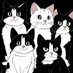 December Cats (@decembercats) Twitter profile photo