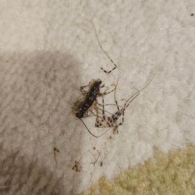 IMpradheep's profile picture. Tweeter on Media, Politics, Stocks. Humor/Satire Lover.  Tweets are personal!