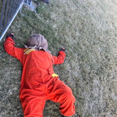 justbe1ngme's profile picture. Resister!! Democrat, Grandma, NEVERTRUMP, 🚫 No DMs I stand with Ukraine! LOCK HIM TF UP!! Love is love, Pro-choice