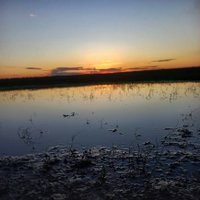 Edgar Tapia (@edgarta68580769) 's Twitter Profile