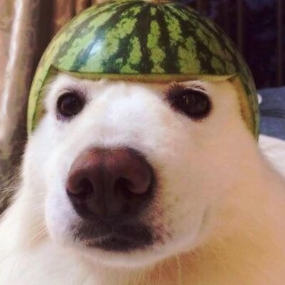Leonさんのプロフィール画像