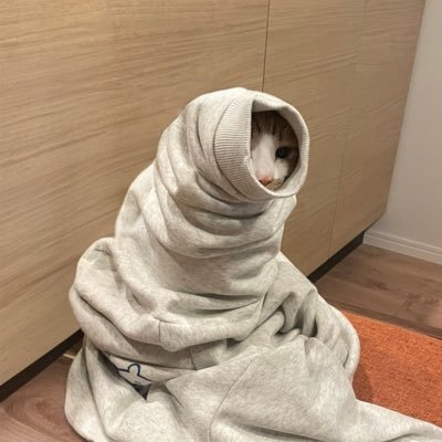 sealcatsui's profile picture. Seal Soul, Cat Vibes ... $SAT , TG: https://t.co/4OOFYKVi2S