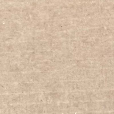 humidbeing's profile picture. Whatever