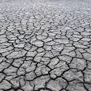 Climate Mum 🌎💚 (@mumclimate) 's Twitter Profile Photo Climate Mum 🌎💚 (@mumclimate) 's Twitter Profile Photo