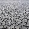 MumClimate's profile picture. mum, deeply concerned about global climate inaction #climatechange #climatecrisis #climateemergency #emergencymode #climateactionnow #endfossilfuels