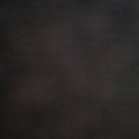 Svenjaโท ๐ฆ (@loonytwo) 's Twitter Profile
