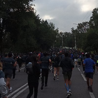 fanny985290's profile picture. 