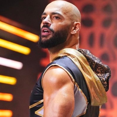 AltitudeProblem's profile picture. Think you’ve seen it all? Blink and you’ll miss me outpacing you, turning gravity into my plaything. ∞ Not affiliated with @KingRicochet whatsoever.