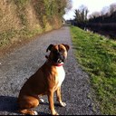 Brian Masterson - @brianomasty - Twitter