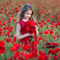 شمس الوطن " بغلفيه" (@sunksa9) 's Twitter Profile