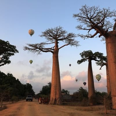 Abbac75912384's profile picture. 