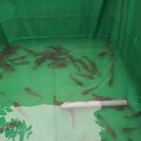 The Fishing Diva🐠🐟 (@grittyloveth) 's Twitter Profile Photo