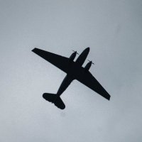 Lefty (@l000efty) 's Twitter Profile