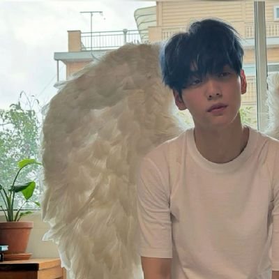 ArmyBangtan161's profile picture. Moa