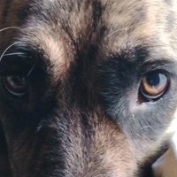 Vessoaran (@vesssoaran) 's Twitter Profile