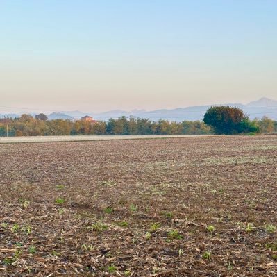 pcrun1990's profile picture. 