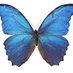 Current Biology (@currentbiology) Twitter profile photo Current Biology (@currentbiology) Twitter profile photo