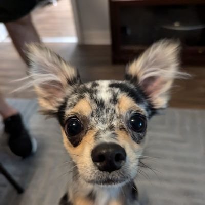 MowChelle78's profile picture. I like news and stuff