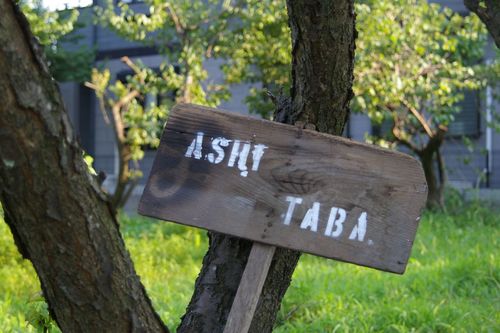 Ashitaba_Yasai's profile picture. 【こだわり野菜ショップ】Ashitaba　です。
当店は全国のこだわり農家さんから新鮮な野菜を直送はもちろん、農家さんの声を消費者へ、消費者の声を農家さんへ伝えています。
｢おいしい農家直送野菜の料理をお客さまに提供したい｣という飲食店様も随時受付中です♪弊社への納品（生産者様）を希望される方はご連絡下さい。