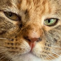 D Ave ☮ (@rmuttrr) 's Twitter Profile