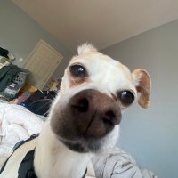 Joey Airplane (@jplanewft) 's Twitter Profile Photo Joey Airplane (@jplanewft) 's Twitter Profile Photo