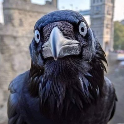 JohnNEsau69's profile picture.