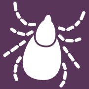 That_Bites's profile picture. Agriculture and Agri-Food Canada research scientist studying arthropods that transmit disease to livestock. Tweets and opinions are my own.