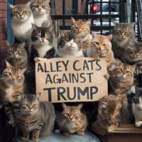 🇺🇦🌻Jennifer Sage🚴🏻‍♀️😺🍷⛷ (@vivavelo) 's Twitter Profile Photo