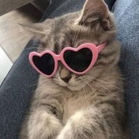 𝑳𝒆𝒆𝒏 (@lleenn033) Twitter profile photo