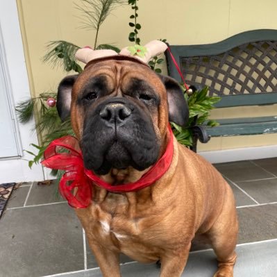 ReillyElai3591's profile picture. 