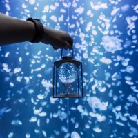 kiki (@kik_aquamarine) 's Twitter Profile Photo kiki (@kik_aquamarine) 's Twitter Profile Photo