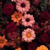 🌺 (@vofmarsh) Twitter profile photo 🌺 (@vofmarsh) Twitter profile photo