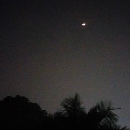 safreen_ac's profile picture. she/her